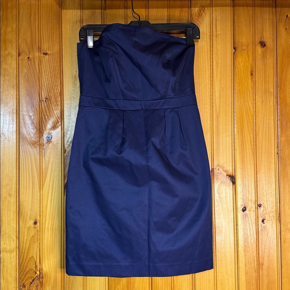Limited Edition Elegant Strapless Dress in Rich Purple/Blue